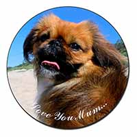 Pekingese Dog 