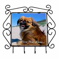 Pekingese Dog 