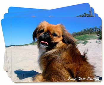 Pekingese Dog 