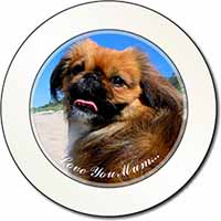 Pekingese Dog 