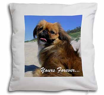 Pekingese 