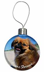 Pekingese 