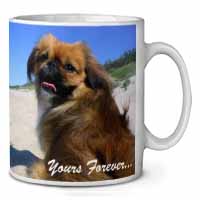 Pekingese 