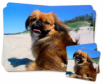 Pekingese 