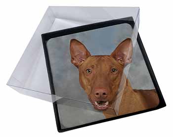 4x Pharaoh Hound Dog Picture Table Coasters Set in Gift Box - Advanta Group®