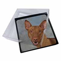 4x Pharaoh Hound Dog Picture Table Coasters Set in Gift Box - Advanta Group®