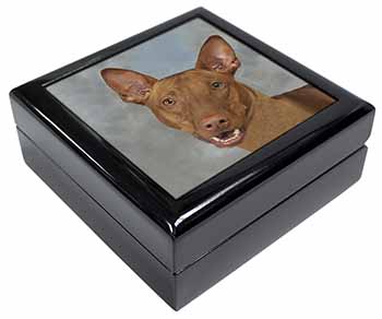Pharaoh Hound Dog Keepsake/Jewellery Box