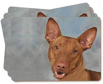 Pharaoh Hound Dog Picture Placemats in Gift Box