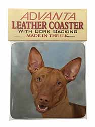 Pharaoh Hound Dog Single Leather Photo Coaster