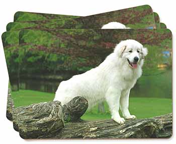Pyrenean Mountain Dog Picture Placemats in Gift Box