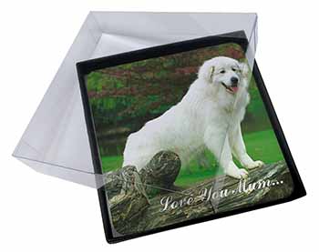 4x Pyrenean Mountain Dog 