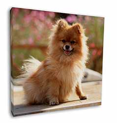 Pomeranian Dog on Decking Square Canvas 12"x12" Wall Art Picture Print