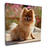 Pomeranian Dog on Decking Square Canvas 12"x12" Wall Art Picture Print