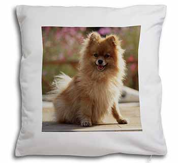 Pomeranian Dog on Decking Soft White Velvet Feel Scatter Cushion