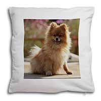 Pomeranian Dog on Decking Soft White Velvet Feel Scatter Cushion