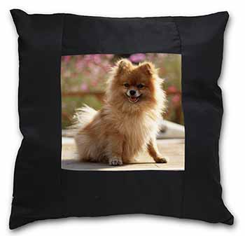 Pomeranian Dog on Decking Black Satin Feel Scatter Cushion