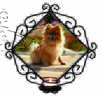 Pomeranian Dog on Decking Wrought Iron Wall Art Candle Holder