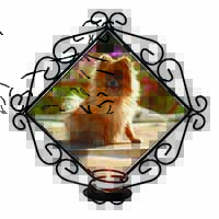 Pomeranian Dog on Decking Wrought Iron Wall Art Candle Holder