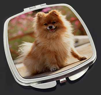 Pomeranian Dog on Decking Make-Up Compact Mirror