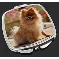 Pomeranian Dog on Decking Make-Up Compact Mirror