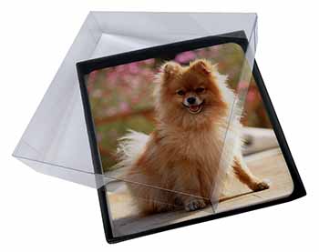 4x Pomeranian Dog on Decking Picture Table Coasters Set in Gift Box
