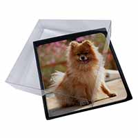 4x Pomeranian Dog on Decking Picture Table Coasters Set in Gift Box