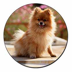 Pomeranian Dog on Decking Fridge Magnet Printed Full Colour