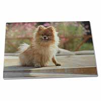 Large Glass Cutting Chopping Board Pomeranian Dog on Decking