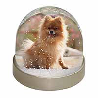 Pomeranian Dog on Decking Snow Globe Photo Waterball