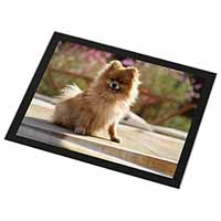 Pomeranian Dog on Decking Black Rim High Quality Glass Placemat