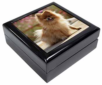 Pomeranian Dog on Decking Keepsake/Jewellery Box