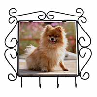 Pomeranian Dog on Decking Wrought Iron Key Holder Hooks