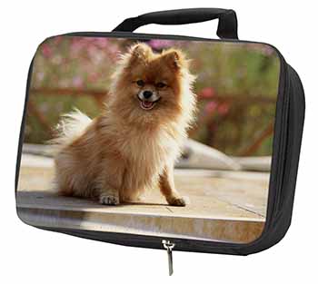 Pomeranian Dog on Decking Black Insulated School Lunch Box/Picnic Bag