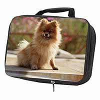 Pomeranian Dog on Decking Black Insulated School Lunch Box/Picnic Bag