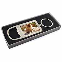 Pomeranian Dog on Decking Chrome Metal Bottle Opener Keyring in Box