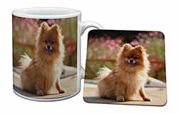 Pomeranian Dog on Decking Mug and Coaster Set