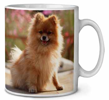 Pomeranian Dog on Decking Ceramic 10oz Coffee Mug/Tea Cup