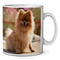 Pomeranian Dog on Decking Ceramic 10oz Coffee Mug/Tea Cup