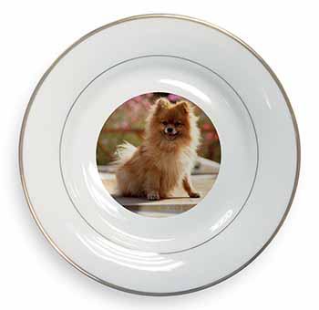 Pomeranian Dog on Decking Gold Rim Plate Printed Full Colour in Gift Box