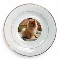 Pomeranian Dog on Decking Gold Rim Plate Printed Full Colour in Gift Box