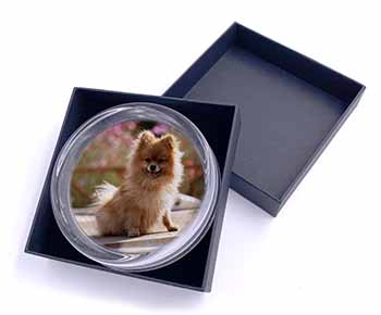 Pomeranian Dog on Decking Glass Paperweight in Gift Box