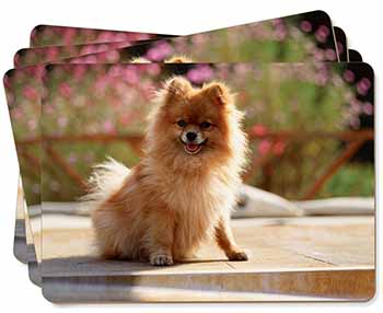 Pomeranian Dog on Decking Picture Placemats in Gift Box