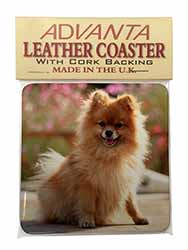 Pomeranian Dog on Decking Single Leather Photo Coaster