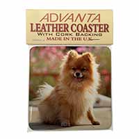 Pomeranian Dog on Decking Single Leather Photo Coaster