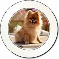 Pomeranian Dog on Decking Car or Van Permit Holder/Tax Disc Holder