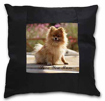 Pomeranian Dog 