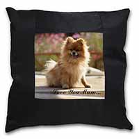 Pomeranian Dog 