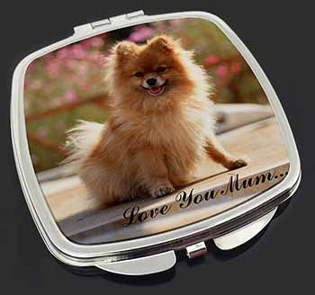 Pomeranian Dog 