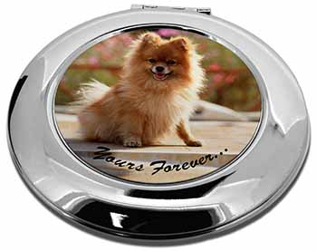 Pomeranian Dog 