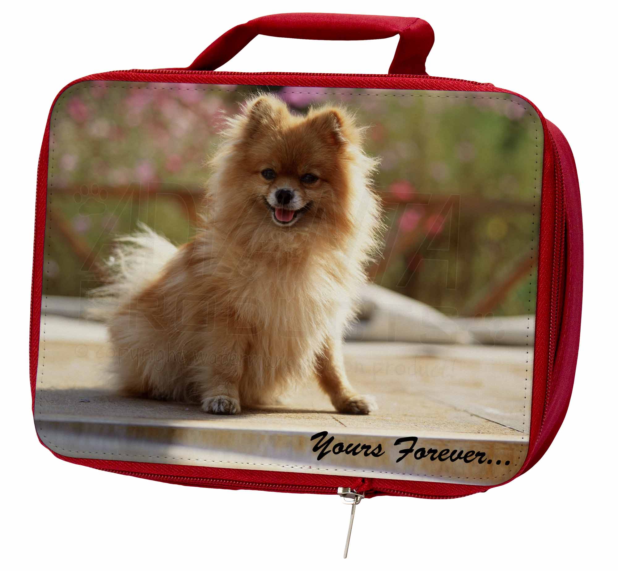 Pomeranian Dog 'Yours Forever' Insulated Red School Lunch Box/Picni, AD-PO89yLBR Pomeranian Dog AD-PO89yLBR 'Yours Forever' Insulated Red School Lunch Box/Picni, AD-PO89yLBR Dog 9ab8af